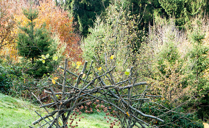 Arbeit "Buchenkreis" von Claudia Fellmann, www.ideenreich-fellmann.ch